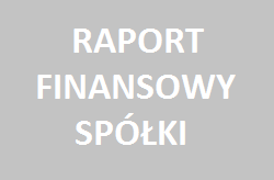 RAPORT FINANSOWY